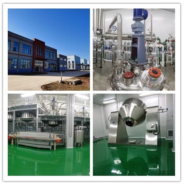 Boric -10B Acid workshop